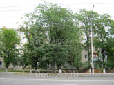 Sprzedający 3-pokój apartament - Ul. Будівельників, 24, Dniprovskiy (10591-276) | Dom2000.com