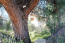 For sale:  home - Asprovaltа (4113-277) | Dom2000.com #24478047