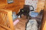 For sale:  home - Kassandra (4116-277) | Dom2000.com #24510528