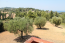 For sale:  home - Kassandra (4116-277) | Dom2000.com #24510537
