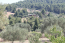 For sale:  home - Kassandra (4116-277) | Dom2000.com #24510542