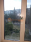 For sale:  2-room apartment - улица Шенгелия, Herson city (9862-277) | Dom2000.com #69040947