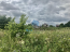 For sale:  land - Черешневая улица str., п. Krasnyy Put (10480-280) | Dom2000.com #75760466
