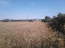 For sale:  land - Thessaloniki (6368-280) | Dom2000.com #42101885