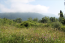 For sale:  land - Kerkyra (Corfu island) (4117-281) | Dom2000.com #24521035