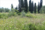 For sale:  land - Kerkyra (Corfu island) (4117-281) | Dom2000.com #24521038