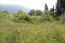 For sale:  land - Kerkyra (Corfu island) (4117-281) | Dom2000.com #24521039