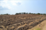 For sale:  land - Kassandra (4425-283) | Dom2000.com #26711103