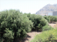 For sale:  land - Rodos (4117-284) | Dom2000.com #24521102