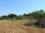 Продам земельну ділянку - Родос (4117-285) | Dom2000.com #24521106