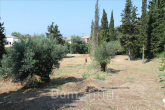 For sale:  land - Kerkyra (Corfu island) (4116-286) | Dom2000.com