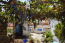 Продам будинок - Iraklion (crete) (7673-286) | Dom2000.com #51338239
