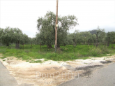 For sale:  land - Thasos (4118-288) | Dom2000.com