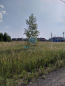 For sale:  land - Russia (10485-289) | Dom2000.com #75788019