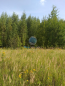 For sale:  land - Russia (10485-289) | Dom2000.com #75788020