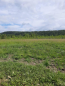For sale:  land - рп. Bolshaya Rechka (10270-290) | Dom2000.com #73409638