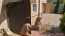 For sale:  home - Protsiv village (5936-291) | Dom2000.com #39047490