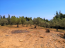 For sale:  land - Sithonia (6368-291) | Dom2000.com #42101943