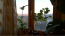 For sale:  3-room apartment - Садовый Пр-Д, Slobidskyi (9798-291) | Dom2000.com #68325506
