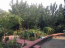 Lease home - Садовая str., Zazim'ya village (9750-292) | Dom2000.com #67849308
