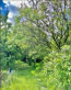 For sale:  home - Marhalivka village (9804-292) | Dom2000.com #68382273