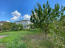 For sale:  home - Ivankovichi village (9804-293) | Dom2000.com #68382279