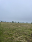 For sale:  shop - р-н. Irkutskiy (10512-296) | Dom2000.com #76111800