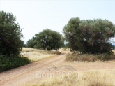 For sale:  land - Sithonia (4120-297) | Dom2000.com