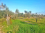 For sale:  land - Pelloponese (4113-298) | Dom2000.com #24478220