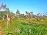 For sale:  land - Pelloponese (4113-298) | Dom2000.com