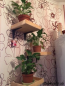 For sale:  room - Вершигоры str., Dniprovskiy (9117-298) | Dom2000.com #62143255