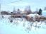 Продам земельный участок - д. Петрушино (10554-299) | Dom2000.com #76553132