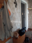 Lease 2-room apartment - Маршала Тимошенко, 29а str., Obolonskiy (9180-299) | Dom2000.com #62682075