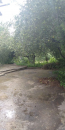 For sale:  home - Marhalivka village (9804-299) | Dom2000.com #68382339