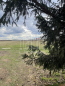 Продам земельный участок - ПСК Ягодка-1, 44, с. Иславское (10572-300) | Dom2000.com #76745396
