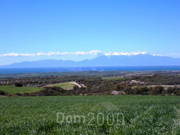 For sale:  land - Chalkidiki (7679-300) | Dom2000.com