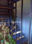 Lease 4-room apartment - Антоновича, 91/14 str., Golosiyivskiy (9185-304) | Dom2000.com #62737695