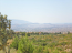 For sale:  land - Athens (4120-305) | Dom2000.com #24551680