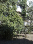 Продам трехкомнатную квартиру - Амосова ул., г. Харьков (9983-306) | Dom2000.com #70225729