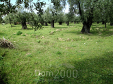 For sale:  land - Thasos (4118-307) | Dom2000.com