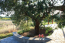 For sale:  home - Sithonia (4204-309) | Dom2000.com #25157667