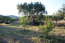 For sale:  home - Sithonia (4204-309) | Dom2000.com #25157691