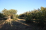 For sale:  home - Sithonia (4204-309) | Dom2000.com #25157693