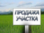 For sale:  land - Одесса - Рени str., Odeska oblast (9815-310) | Dom2000.com #68490405