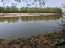 For sale:  land - Kiyivska oblast (6184-312) | Dom2000.com #42832331