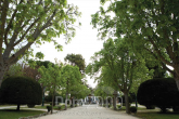 For sale:  land - Athens (5947-313) | Dom2000.com