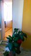 Продам 3-кімнатну квартиру - Науки просп., Голосіївський (4574-314) | Dom2000.com #28213010