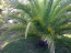 For sale:  home - Kassandra (4115-318) | Dom2000.com #24499488