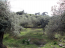 For sale:  land - Thasos (4118-326) | Dom2000.com #24532341