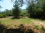 For sale:  land - Thasos (4120-327) | Dom2000.com #24551976